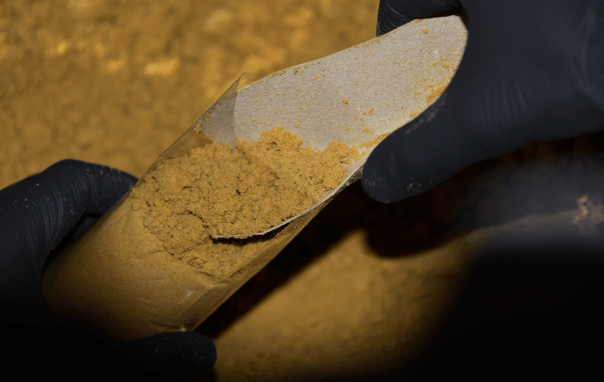 Fill & Press Service - Pollen Shark