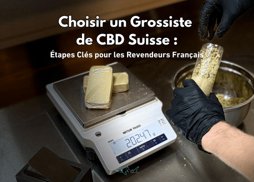 Choisir un Grossiste de CBD Suisse : Étapes Clés pour les Revendeurs Français - Pollen Shark