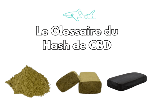 Choisir son hash de CBD en gros : Le Glossaire des termes à connaitre. - Pollen Shark