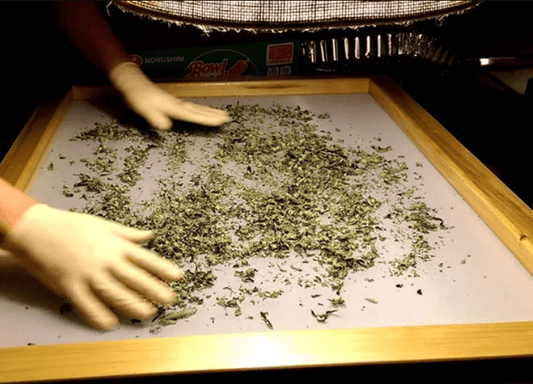 Dry Sift Hash : sa fabrication et ses effets expliqués - Pollen Shark