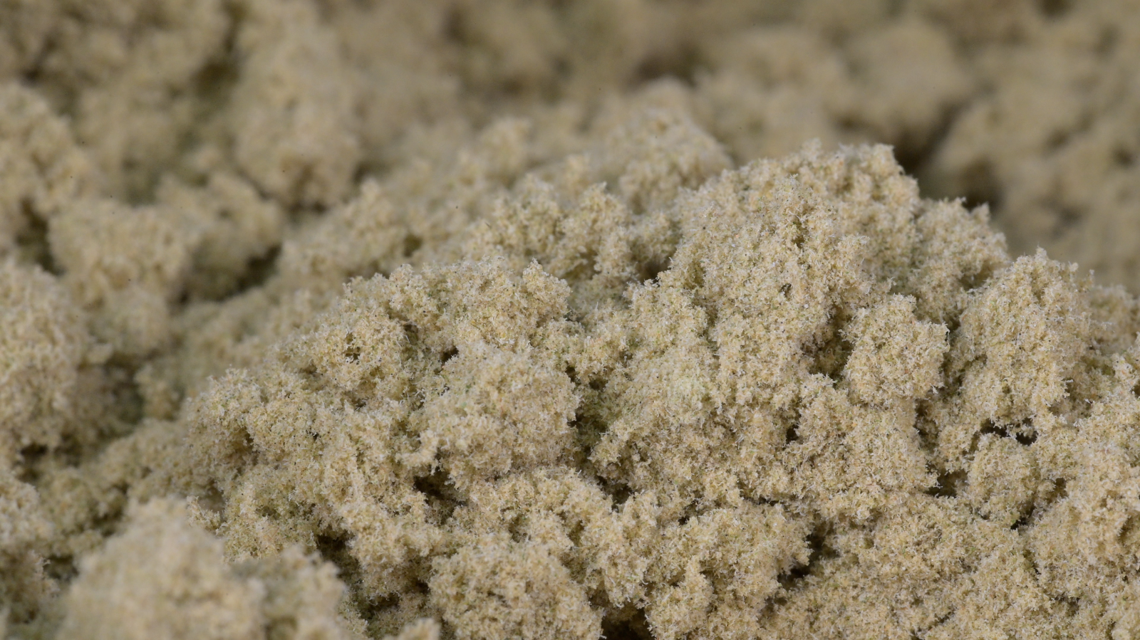 Bubble Gum - CBD Pollen in Bulk