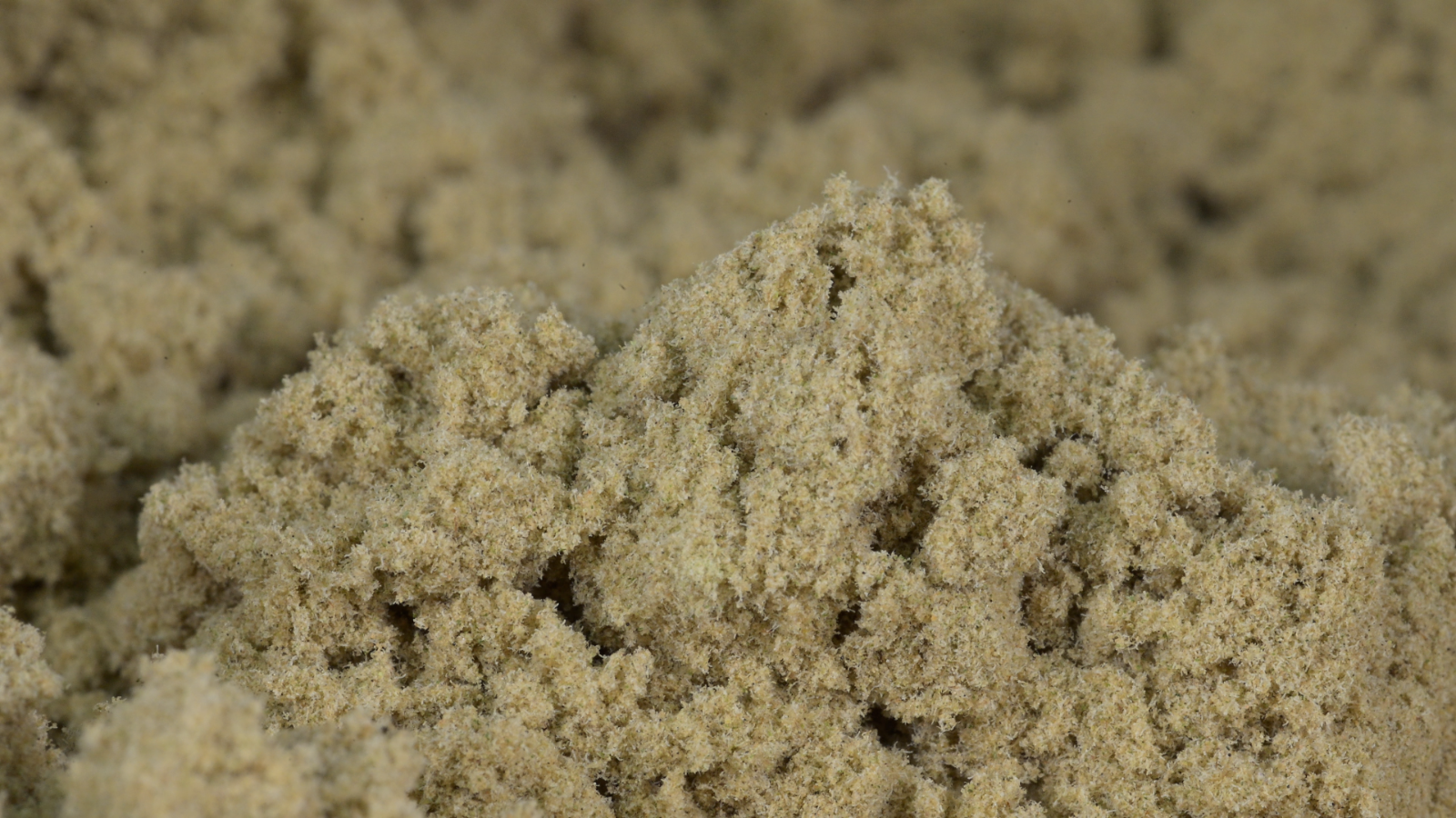 California Haze CBD Pollen in Bulk