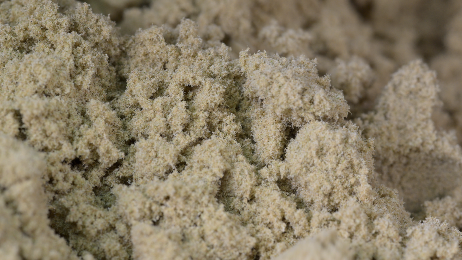 Orangelato - CBD Pollen in Bulk