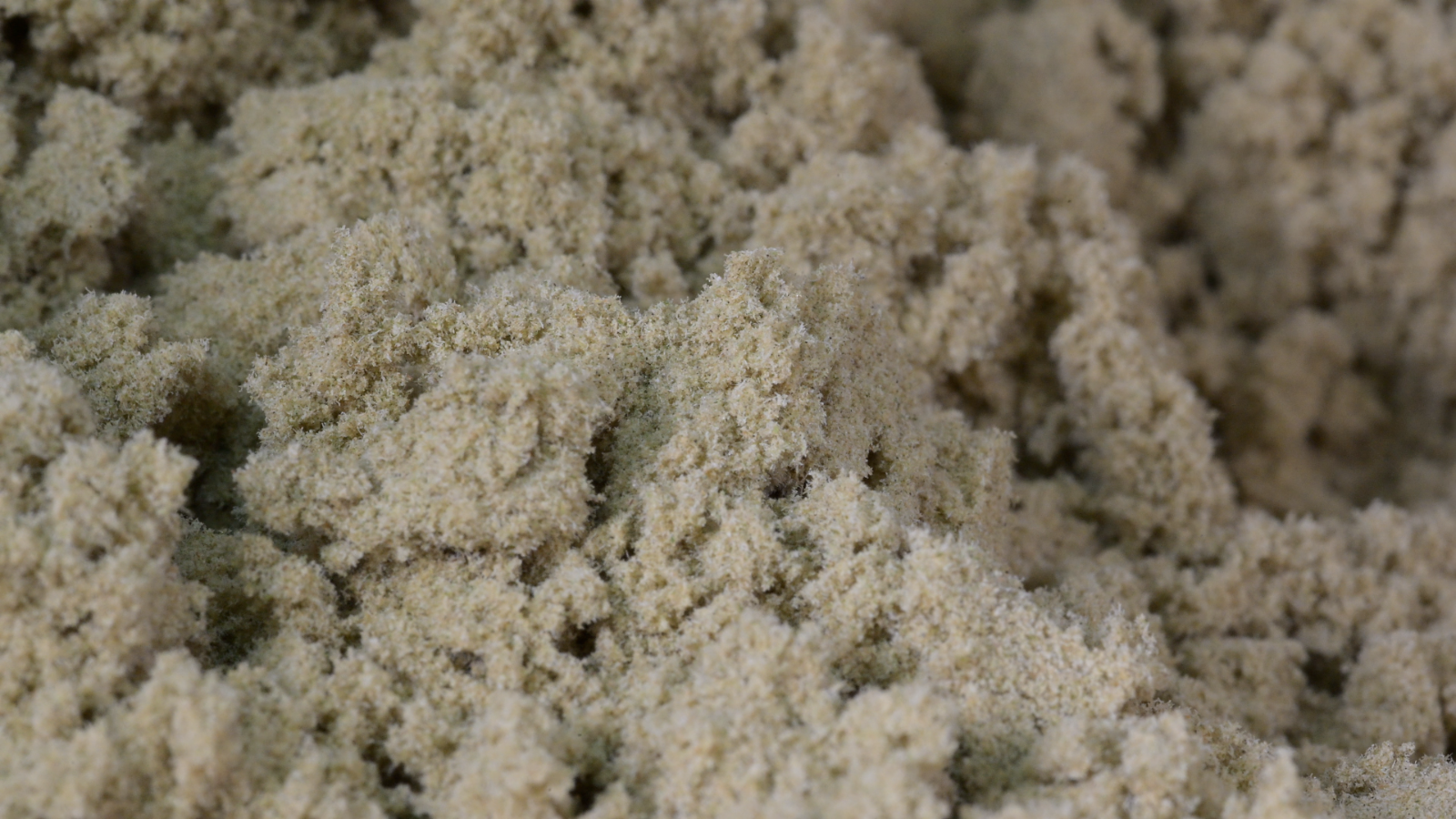 Rainbow CBD Pollen in Bulk